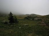 01_Sembra novembre